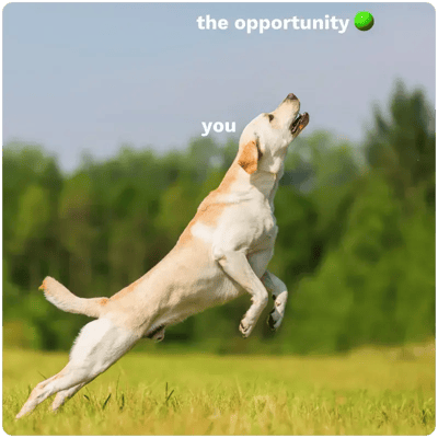cta opportunity-1 cta opportunity-1